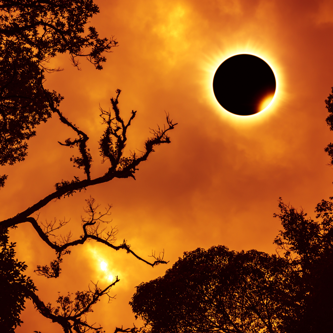total solar eclipse with trees in foreground